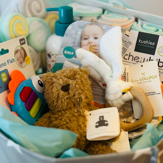 BABY ROAR BUNDLE